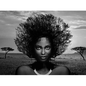 Julian Lauren - Serengeti Queen