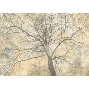 Alessio Aprile - Below My Tree II