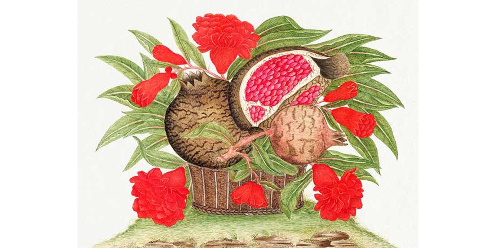 Anonymous - Basket of pomegranates