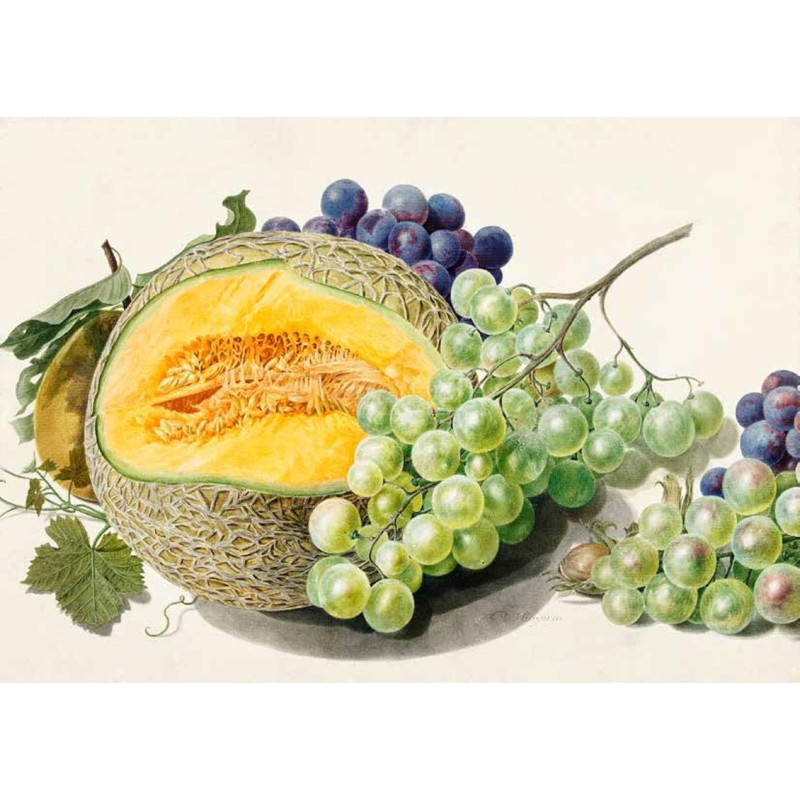Michiel van Huysum - Fruits II
