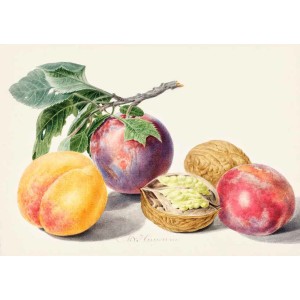 Michiel van Huysum - Fruits I