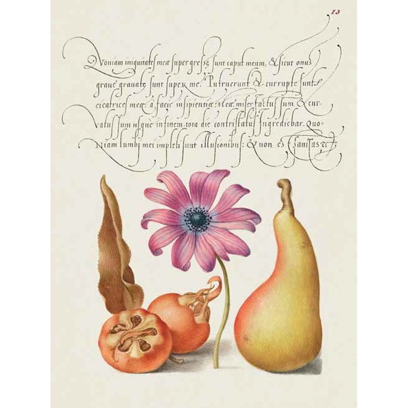 Bocskay Hoefnagel - From the Model Book of Calligraphy, VIII