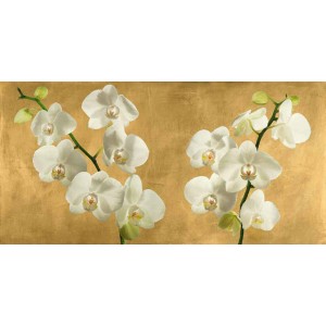 Andrea Antinori - Orchids on a Golden Background