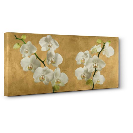 Andrea Antinori - Orchids on a Golden Background