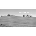 Pangea Images - Strada del Brunello, Tuscany (BW)