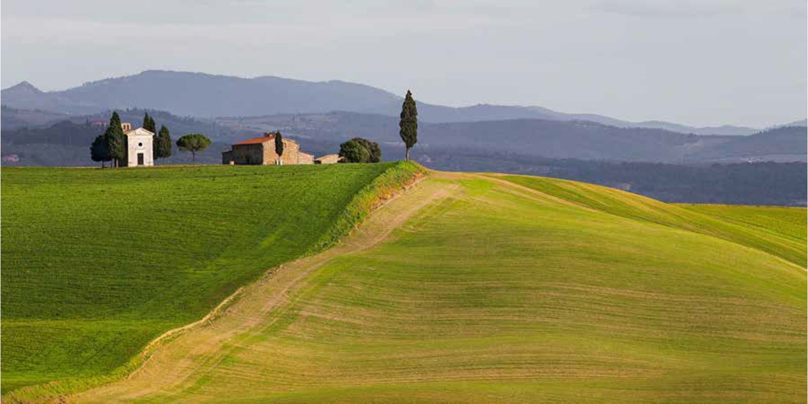 Pangea Images - Val d’Orcia, Siena, Tuscany (detail)