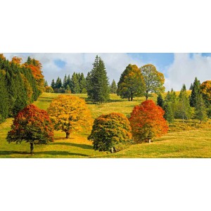 Pangea Images - Autumn in Quebec