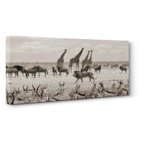 Pangea Images - Sovereign passing by (Masai Mara, BW)