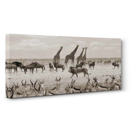 Pangea Images - Sovereign passing by (Masai Mara, BW)