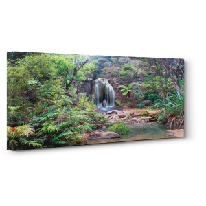 Pangea Images - Rainforest Waterfall