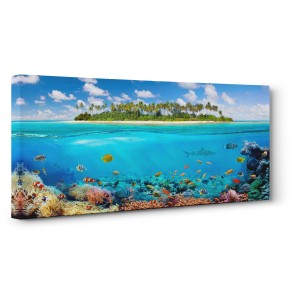 Pangea Images - The Coral Reef
