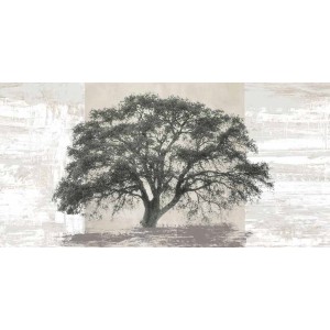 Alessio Aprile - Ash Tree Panel