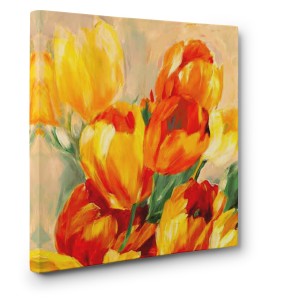 Jim Stone - Tulips in the Sun I