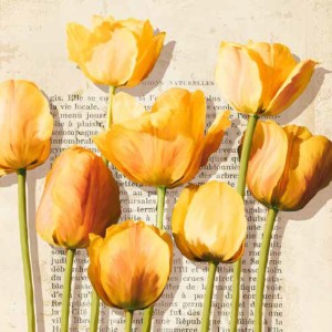 Luca Villa - Histoires de Tulipes (detail)