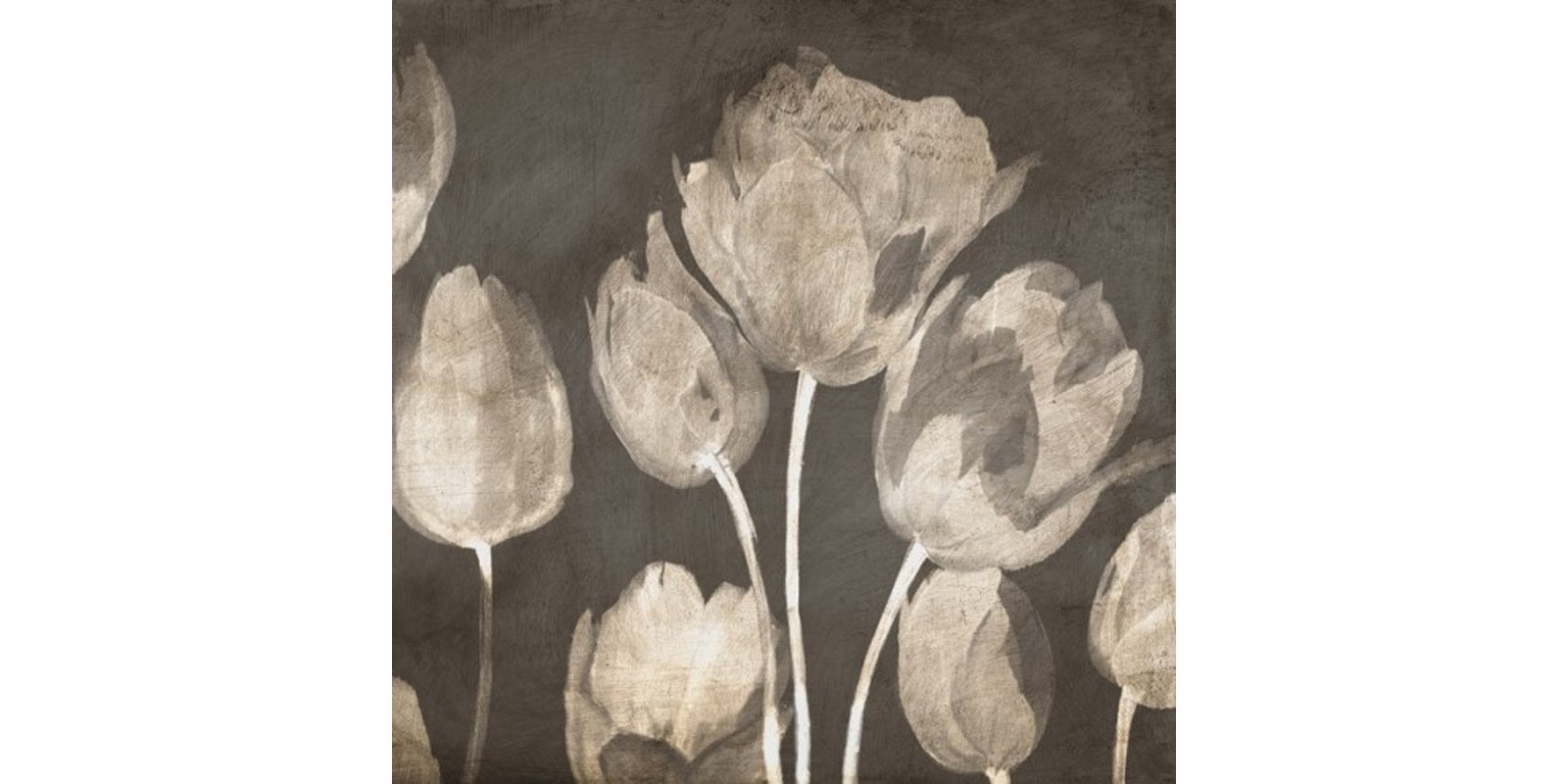 Luca Villa - Washed Tulips II