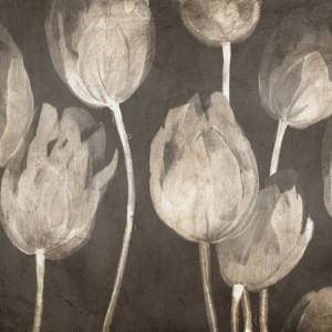 Luca Villa - Washed Tulips I