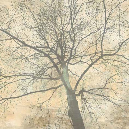 Alessio Aprile - Below My Tree II (detail)