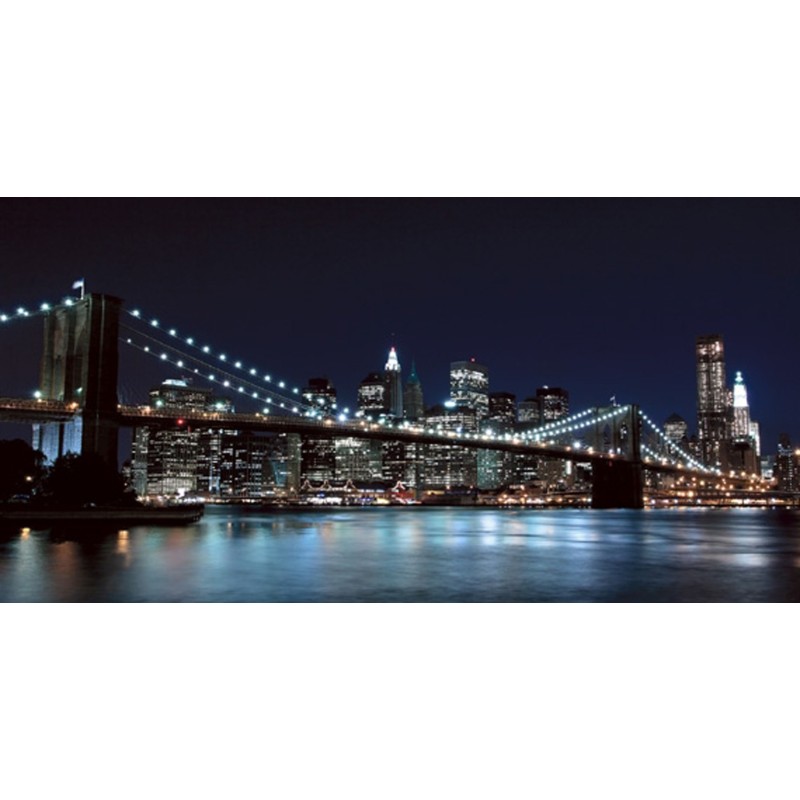 Pg-Plaisio - Brooklyn Bridge Night