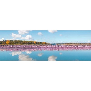 Pangea Images - Flamingos Reflection, Camargue, France (detail)