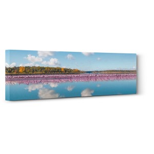 Pangea Images - Flamingos Reflection, Camargue, France (detail)