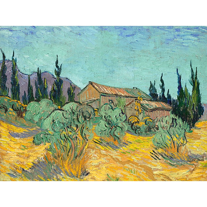 Vincent van Gogh - Cabanes de bois parmi les oliviers et cyprés