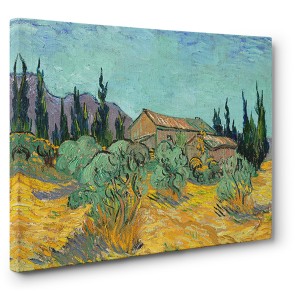 Vincent van Gogh - Cabanes de bois parmi les oliviers et cyprés