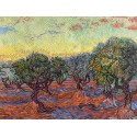 Vincent van Gogh - Olive Grove, Saint-Rémy