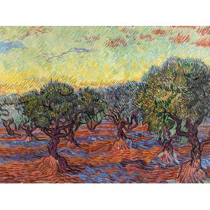 Vincent van Gogh - Olive Grove, Saint-Rémy