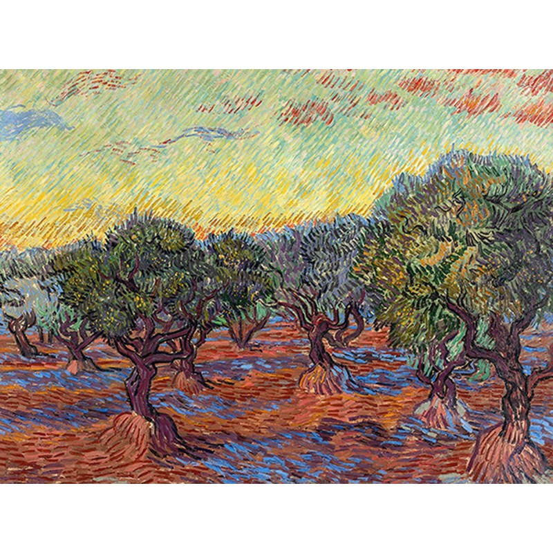 Vincent van Gogh - Olive Grove, Saint-Rémy