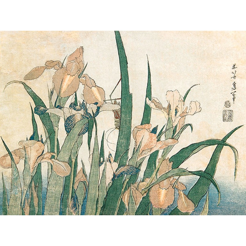 Katsushika Hokusai - Irises and Grasshopper, 1833-1834