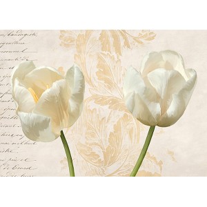 Elena Dolci - Two Tulips