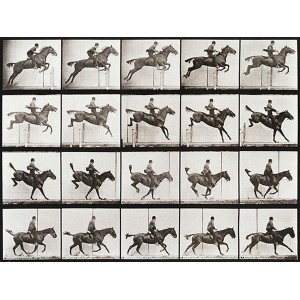 Eadweard Muybridge - Animal Locomotion, Plate 637