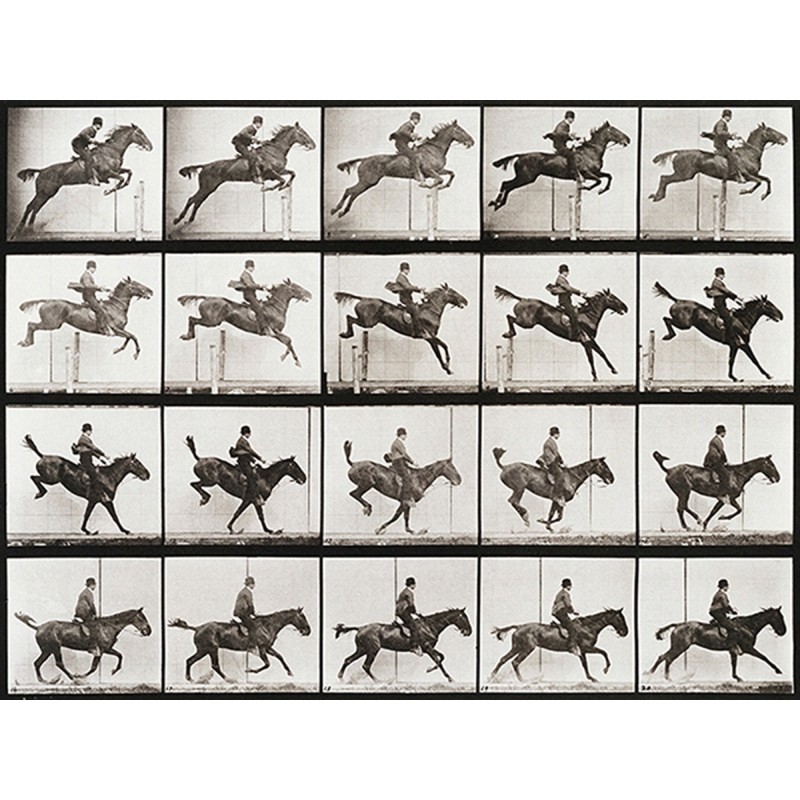 Eadweard Muybridge - Animal Locomotion, Plate 637