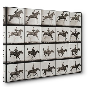 Eadweard Muybridge - Animal Locomotion, Plate 637