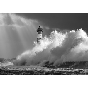 Pangea Images -  The Big Wave (B&W)