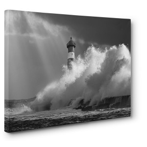 Pangea Images -  The Big Wave (B&W)