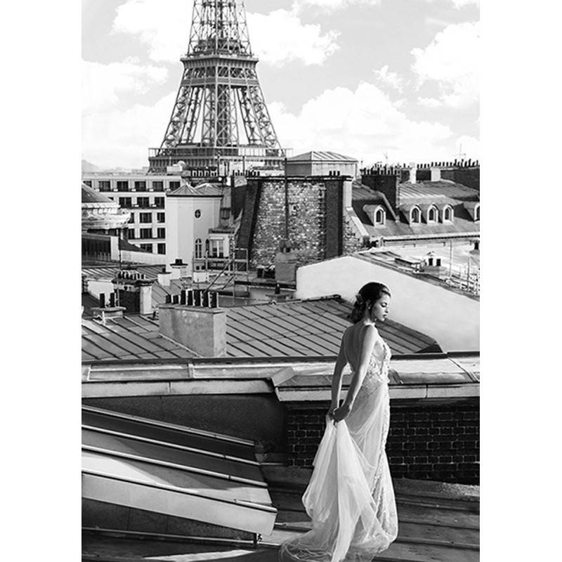 Julian Lauren - On the roofs in Paris