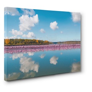 Pangea Images - Flamingos Reflection, Camargue, France