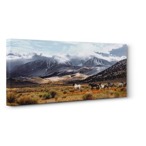 Pangea Images - Wild Horses, Mono Lake Natural Reserve, California