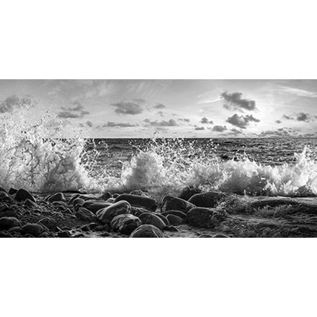 Pangea Images - Waves crashing, Point Reyes, California (detail, BW)
