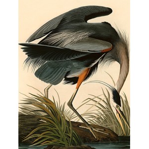 John James Audubon - Great Blue Heron
