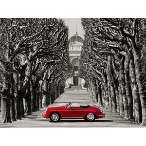 Gasoline Images - Roadster in tree lined road, Paris