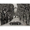 Gasoline Images - Roadster in tree lined road, Paris (BW)