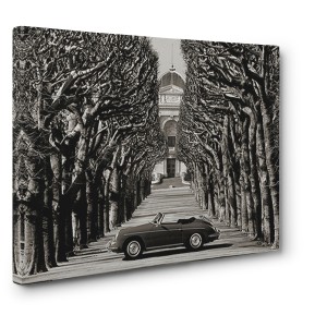 Gasoline Images - Roadster in tree lined road, Paris (BW)