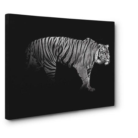 Julian Lauren - Panthera Tigris