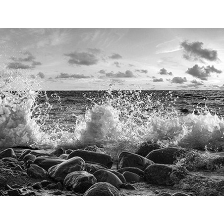 Pangea Images - Waves crashing, Point Reyes, California (BW)