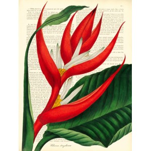 Remy Dellal - Vintage Botany I