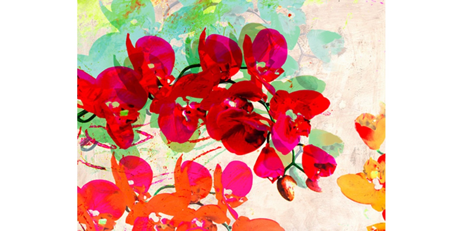 Kelly Parr - Orchidreams