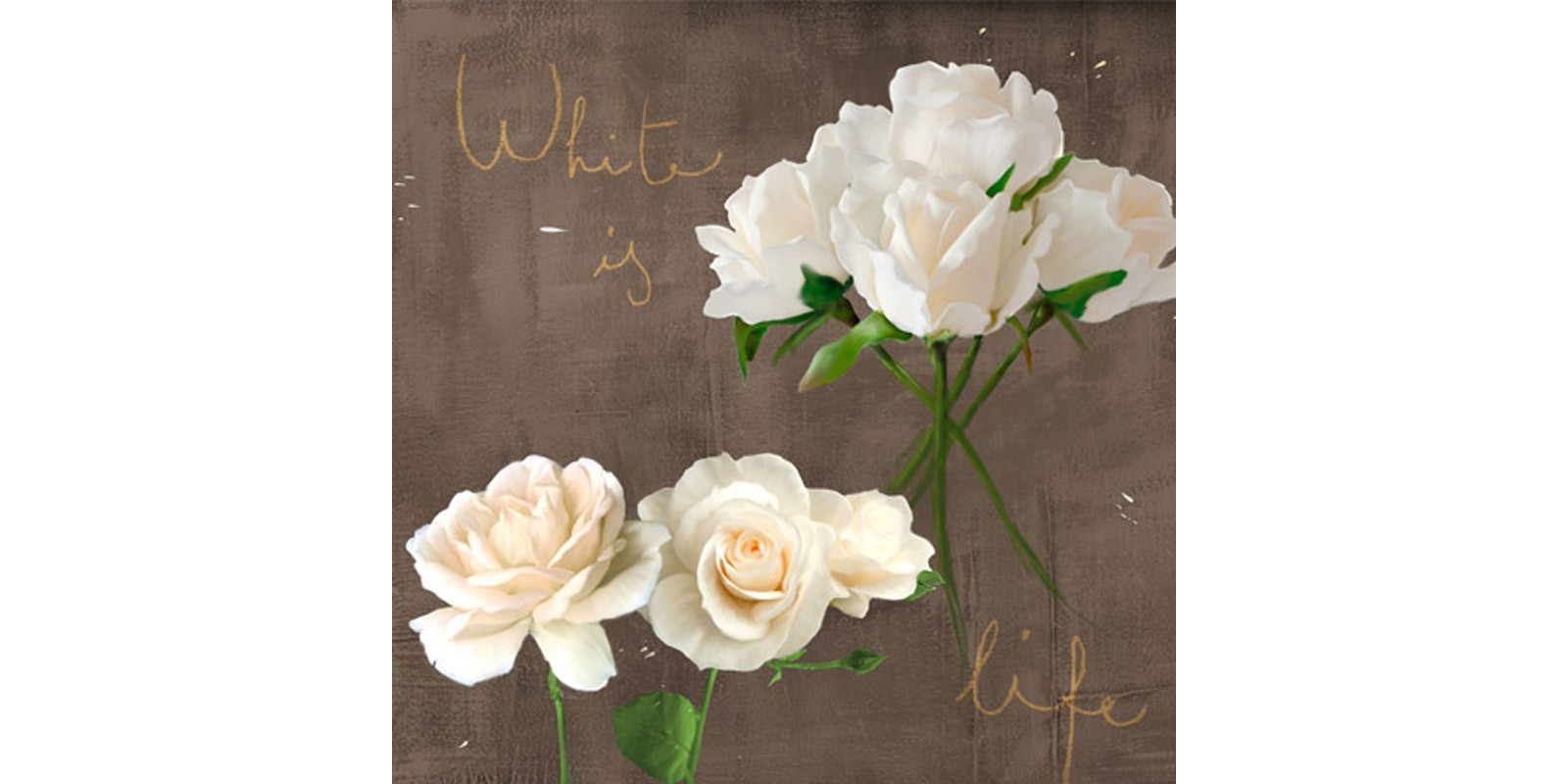 Teo Rizzardi - White Roses