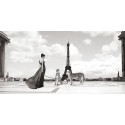 Julian Lauren - Trocadero View